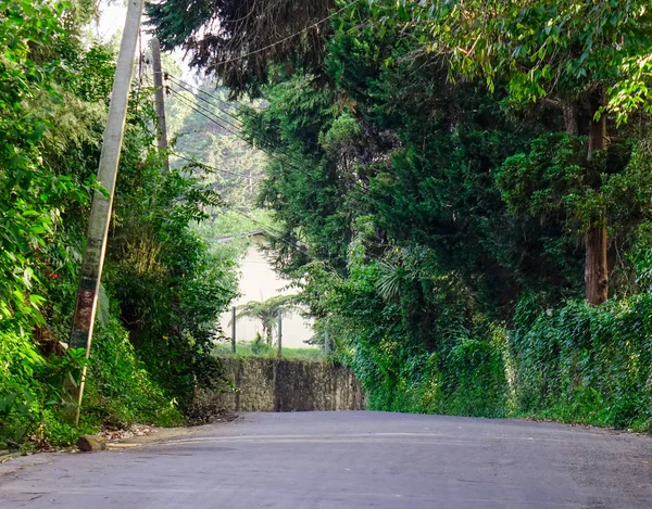 Сельская Дорога Нувара Элия Шри Ланка Нувара Элия Сердце Центрального — стоковое фото