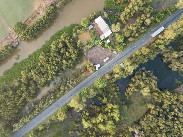 Vista Aérea Del Bosque Arbóreo Melaleuca Delta Del Mekong Sur — Foto de Stock