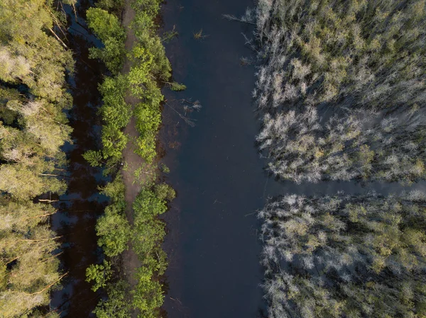 Flyfoto Melaleuca Skogen Mekongdeltaet Sør Vietnam Tatt Med Drone Flycam – stockfoto