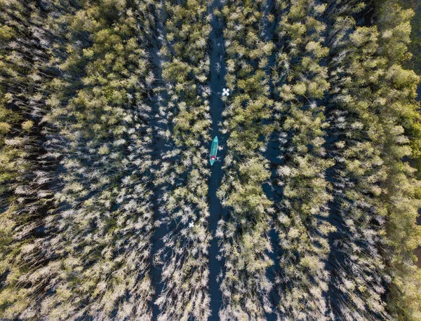 Αεροφωτογραφία Του Ξύλινη Βάρκα Στο Δάσος Δέντρο Melaleuca Στο Δέλτα — Φωτογραφία Αρχείου