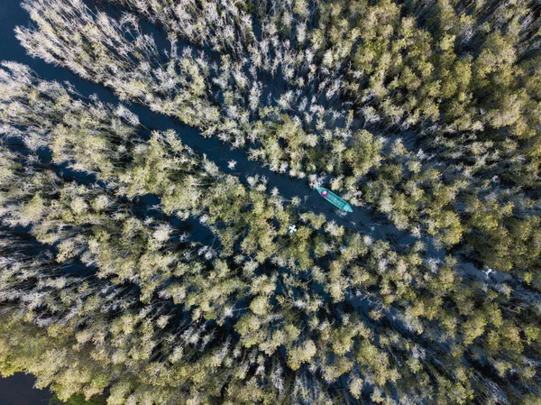 Luftaufnahme Eines Holzbootes Melaleuca Baumwald Mekong Delta Süden Vietnams Drohne — Stockfoto