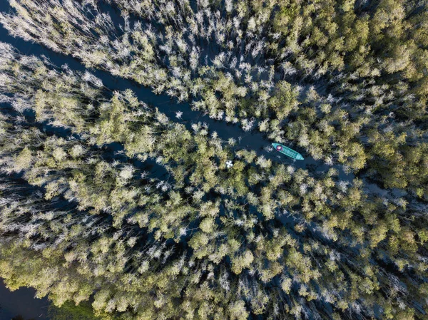 Vista Aérea Barco Madeira Melaleuca Floresta Arbórea Mekong Delta Sul — Fotografia de Stock