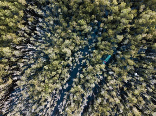 Vue Aérienne Bateau Bois Forêt Arbres Melaleuca Dans Delta Mékong — Photo