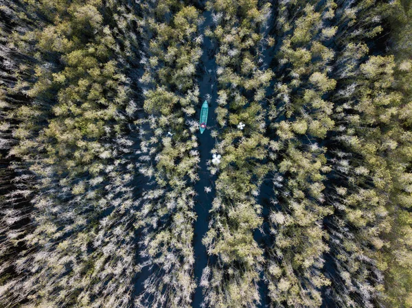 ベトナム南部のメコン デルタ メラルーカの木の森で木製ボートの空撮 ドローン Flycam で撮影 — ストック写真