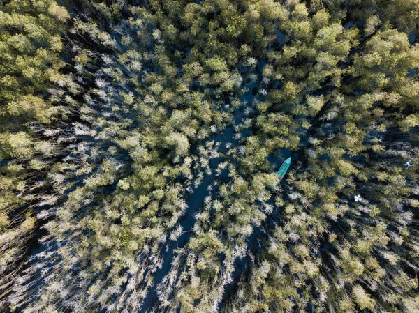 Widok Lotu Ptaka Drewnianą Łodzią Lesie Drzewa Melaleuca Delcie Mekongu — Zdjęcie stockowe