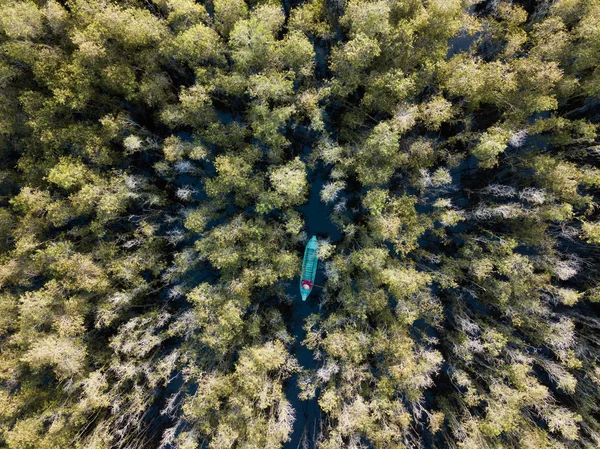 Letecký Pohled Dřevěných Lodí Melaleuca Les Jižní Vietnam Mekong Delta — Stock fotografie