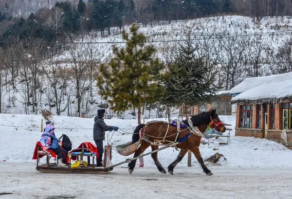 Harbin China Febrero 2018 Paseos Trineo Invierno Tirados Por Caballos —  Fotos de Stock