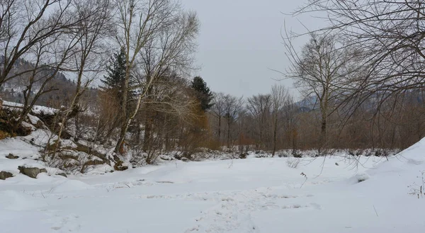 Paisaje Invernal Del Condado Mohe Provincia Heilongjiang Norte China — Foto de Stock