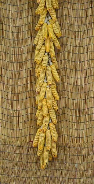 Érett Szárított Kukorica Csövek Falon Faluban Heilongjiang Kína — Stock Fotó