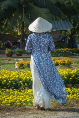 Çiçek Bahçesi, geleneksel kıyafet (Ao Dai) Daimi Vietnamlı bir kadın.