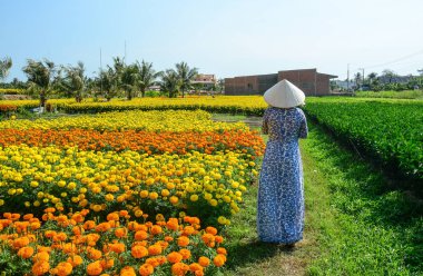 Geleneksel kıyafet (Ao Dai) Daimi çiçek alan, Vietnamlı bir kadın.