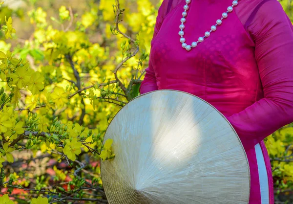 Eine Vietnamesische Frau Traditioneller Kleidung Dai Steht Frühlingsblumengarten — Stockfoto