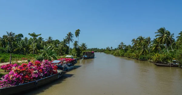 Barcos Carga Llevan Flores Río Delta Del Mekong Vietnam — Foto de Stock