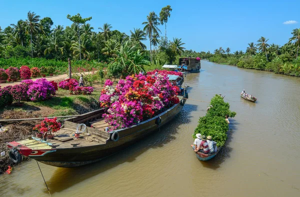 Delta Del Mekong Vietnam Enero 2016 Barcos Carga Llevan Flores — Foto de Stock