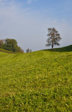 Kırsal sahne yaz günü Luzern, İsviçre.