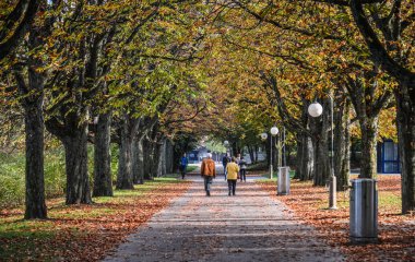 Lucerne, İsviçre - 23 Ekim 2018. Lucerne, İsviçre sonbahar yolda yürürken insanlar. Lucerne İsviçre Amerikanın küçük güzel bir şehir olduğunu.