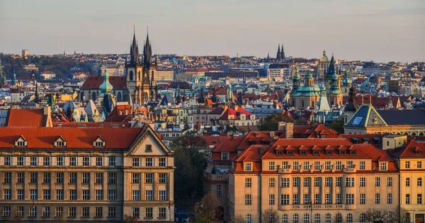 Widok Lotu Ptaka Pradze Czechy Praga Jest Największe Miasto Europie — Zdjęcie stockowe