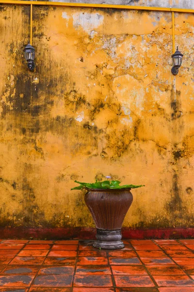 Parede Amarela Com Vaso Planta Aquática Templo Local Hoi Town — Fotografia de Stock