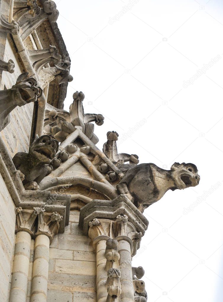 Chimera (Gargoyle) of the Cathedral of Notre Dame de Paris (France).