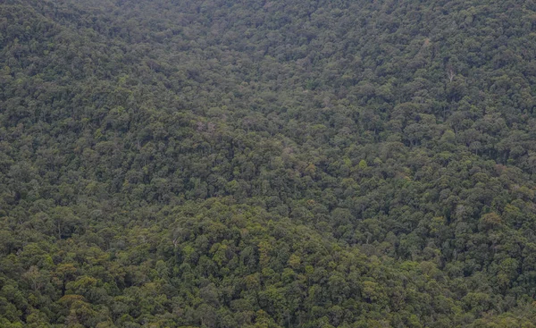 Berglandschaft Der Insel Langkawi Malaysia Langkawi Ist Ein Archipel Aus — Stockfoto