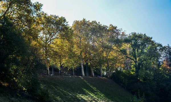 Parque Otoño Con Árboles Colores Berna Suiza —  Fotos de Stock