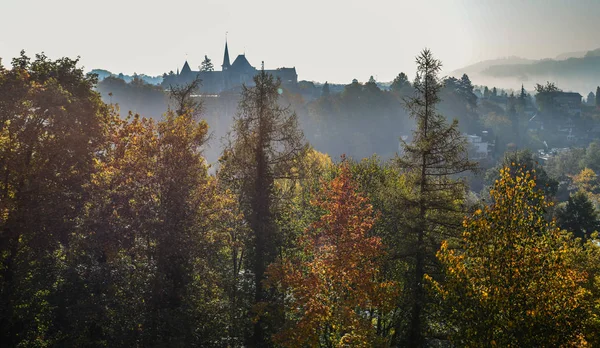 ベルン スイス連邦共和国で色鮮やかな木々 で秋の公園 — ストック写真
