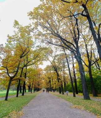 Sonbahar Catherine park sarayda Saint Petersburg, Rusya Federasyonu.