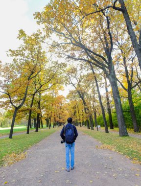 Bir adam iz sonbahar ormandaki hiking.