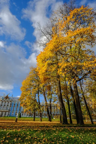 Parque Outono São Petersburgo Rússia — Fotografia de Stock