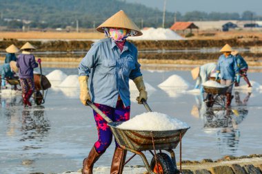 Khanh Hoa, Vietnam - 21 Mar 2016. Ninh Hoa Khanh Hoa, Vietnam kasabada tuz sahasının çalışan bir kadın.