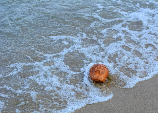 Deniz Güney Vietnam Üzerinde Kurutulmuş Hindistan Cevizi Meyve — Stok fotoğraf