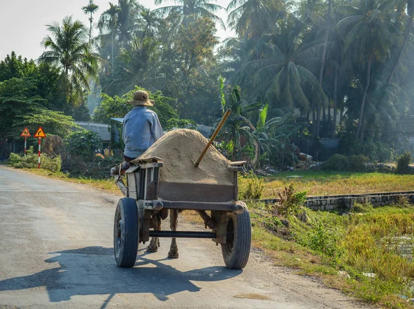 Homem Montando Carrinho Boi Estrada Rural Phu Yen Vietnã Sul — Fotografia de Stock