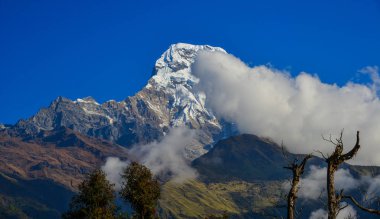 Annapurna aralığı doruklarına kar. Annapurna bir massif içerir bir tepe üzerinde 8000 metre Kuzey-Merkez Nepal Himalayalar olduğunu.