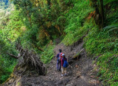 Parkur üzerinde iz, Annapurna devre Trekking Khopra, Nepal yürüyüş sırt çantası ile.