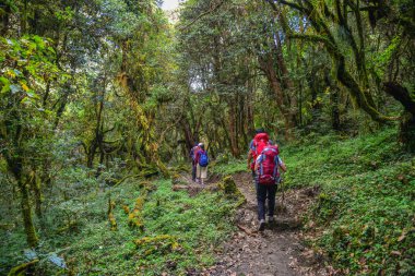 Parkur üzerinde iz, Annapurna devre Trekking Khopra, Nepal yürüyüş sırt çantası ile.