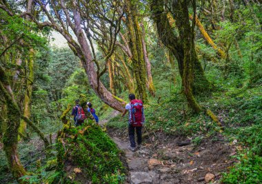 Parkur üzerinde iz, Annapurna devre Trekking Khopra, Nepal yürüyüş sırt çantası ile.