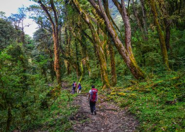 Parkur üzerinde iz, Annapurna devre Trekking Khopra, Nepal yürüyüş sırt çantası ile.