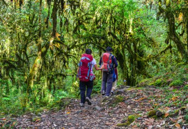 Sırt çantası üzerinde iz, Annapurna devre Trekking Khopra, Nepal yürüyüş grubu.