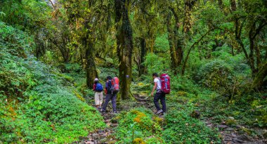 Gençler üzerinde iz, Annapurna devre Trekking Khopra, Nepal yürüyüş sırt çantası ile.
