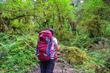 Üzerinde iz, Annapurna devre Trekking Khopra, Nepal yürüyüş sırt çantası ile genç bir kadın.
