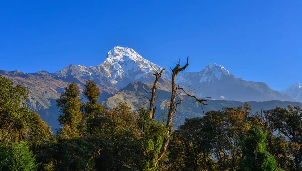 Picos Neve Annapurna Range Annapurna Maciço Himalaia Centro Norte Nepal — Fotografia de Stock