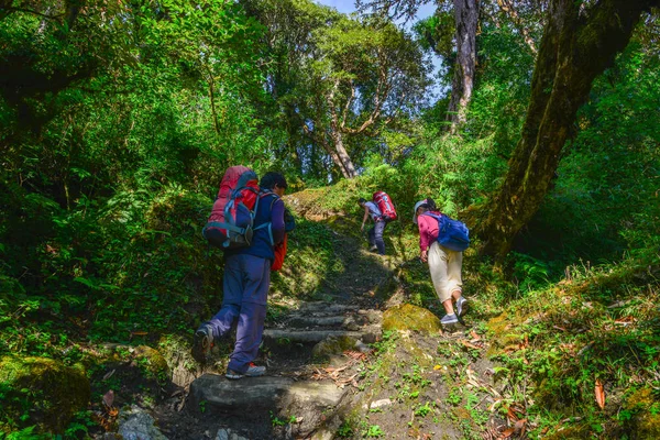 Khopra Nepal Octubre 2017 Trekkers Con Mochila Caminando Por Sendero —  Fotos de Stock