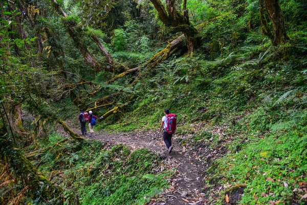 Vandrare Med Ryggsäck Promenader Trail Annapurna Circuit Vandring Khopra Nepal — Stockfoto