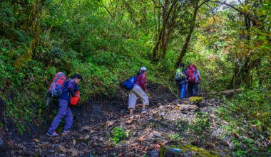 Khopra, Nepal - 22 Ekim 2017. Genç gezginler ile üzerinde iz, Annapurna devre Trekking Khopra, Nepal yürüyüş sırt çantası.
