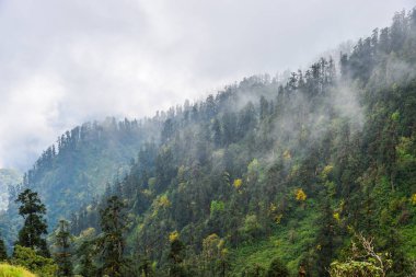 Sisli gün Pokhara, Nepal, dağ ve orman sahne.