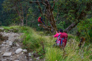 Khopra, Nepal - 22 Ekim 2017. Genç gezginler ile sırt üstünde iz Annapurna devre Trekking Khopra, Nepal.
