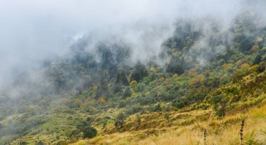 Dağ manzarası sisli gün Pokhara, Nepal.