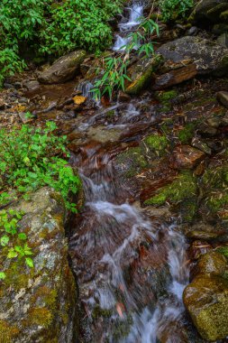 Khopra, Nepal derin orman akışı ile küçük şelale.