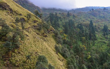 Dağ manzarası ile Annapurna Trekking iz Nepal.