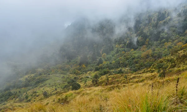 Górskiej Scenerii Mglisty Dzień Pokhara Nepal — Zdjęcie stockowe